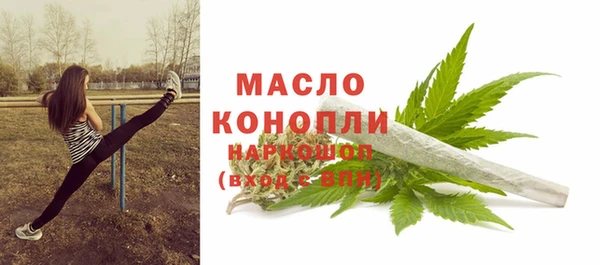 СК Алексин