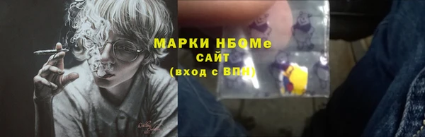 СК Алексин