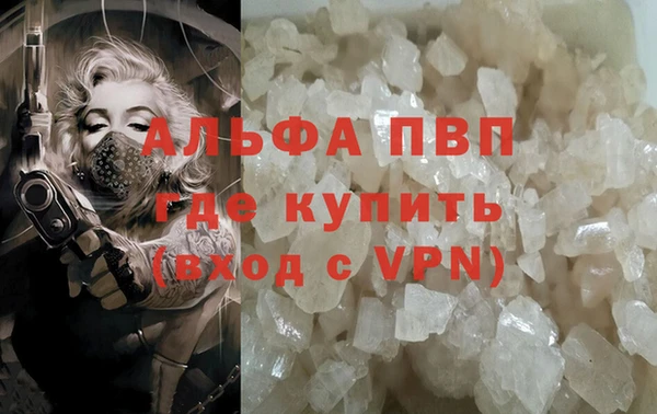 СК Алексин