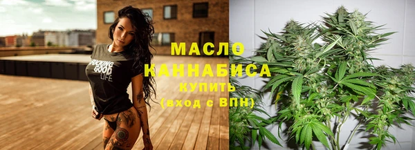 СК Алексин