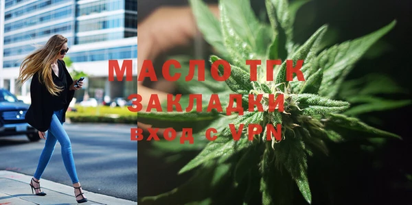 СК Алексин