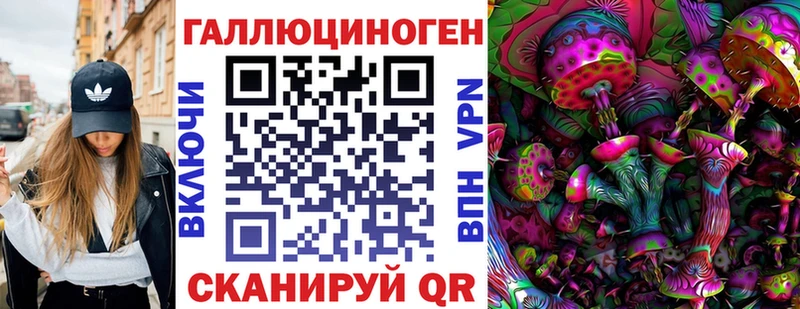 закладка  Углич  Галлюциногенные грибы Cubensis 